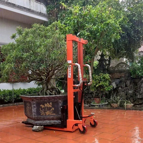 Xe nâng cây cảnh 3000kg