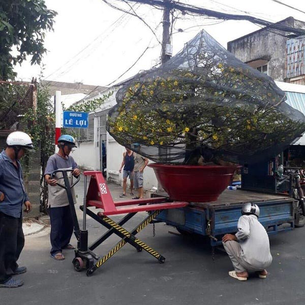 Ứng dụng xe nâng tay cắt kéo